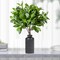 Greenery Branches Artificial Tree Stems 21&#x201D; Long Faux Plants Green Leaves, 6pcs